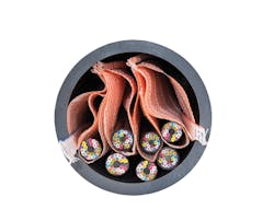 1901cimbicsiproducts Photo 3 1901cimbicsiproducts Photo 3