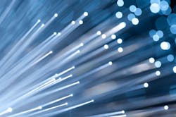 Summer of fiber: The week's top stories Summer of fiber: The week's top stories