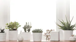 Patented RF technology monitors wireless signals in the home for 'camera-less' security