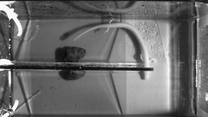 Content Dam Etc Medialib New Lib Cablinginstall Online Articles 2011 12 Tular Cave Laboratory 69048