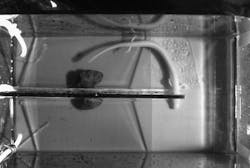 Content Dam Etc Medialib New Lib Cablinginstall Online Articles 2011 12 Tular Cave Laboratory 69048 Content Dam Etc Medialib New Lib Cablinginstall Online Articles 2011 12 Tular Cave Laboratory 69048