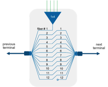 Fiber indexing animation entertains as it educates