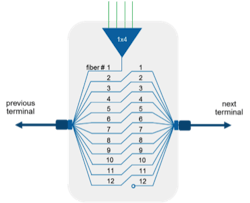 Fiber indexing animation entertains as it educates Fiber indexing animation entertains as it educates