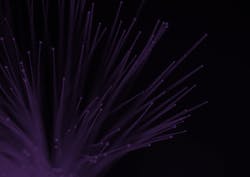 OIF and Ethernet Alliance join forces to demo live FlexE traffic over 400G network at OFC OIF and Ethernet Alliance join forces to demo live FlexE traffic over 400G network at OFC