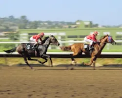 Content Dam Cim En Articles 2014 08 Olan Afternoon At Races Demo Leftcolumn Article Thumbnailimage File Content Dam Cim En Articles 2014 08 Olan Afternoon At Races Demo Leftcolumn Article Thumbnailimage File
