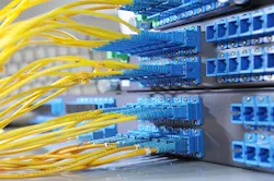 Lw Data Center Cables