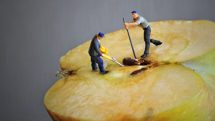 Tiny People 700921 960 720