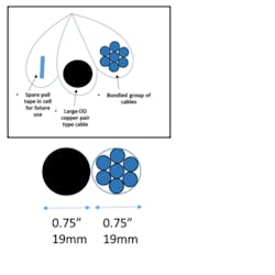 Cp114 Maxcellcells Cp114 Maxcellcells