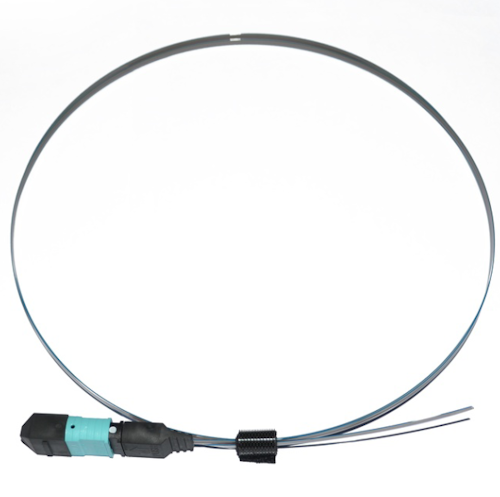 MPO fiber optic pigtail