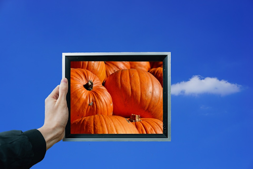 Pumpkin 2777780 960 720