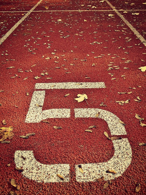 Sports Ground 531919 960 720