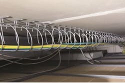 Snaketray2 Snaketray2