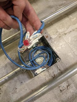 Misguided4 Misguided4