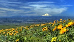 Oregon's Mount Hood Oregon's Mount Hood