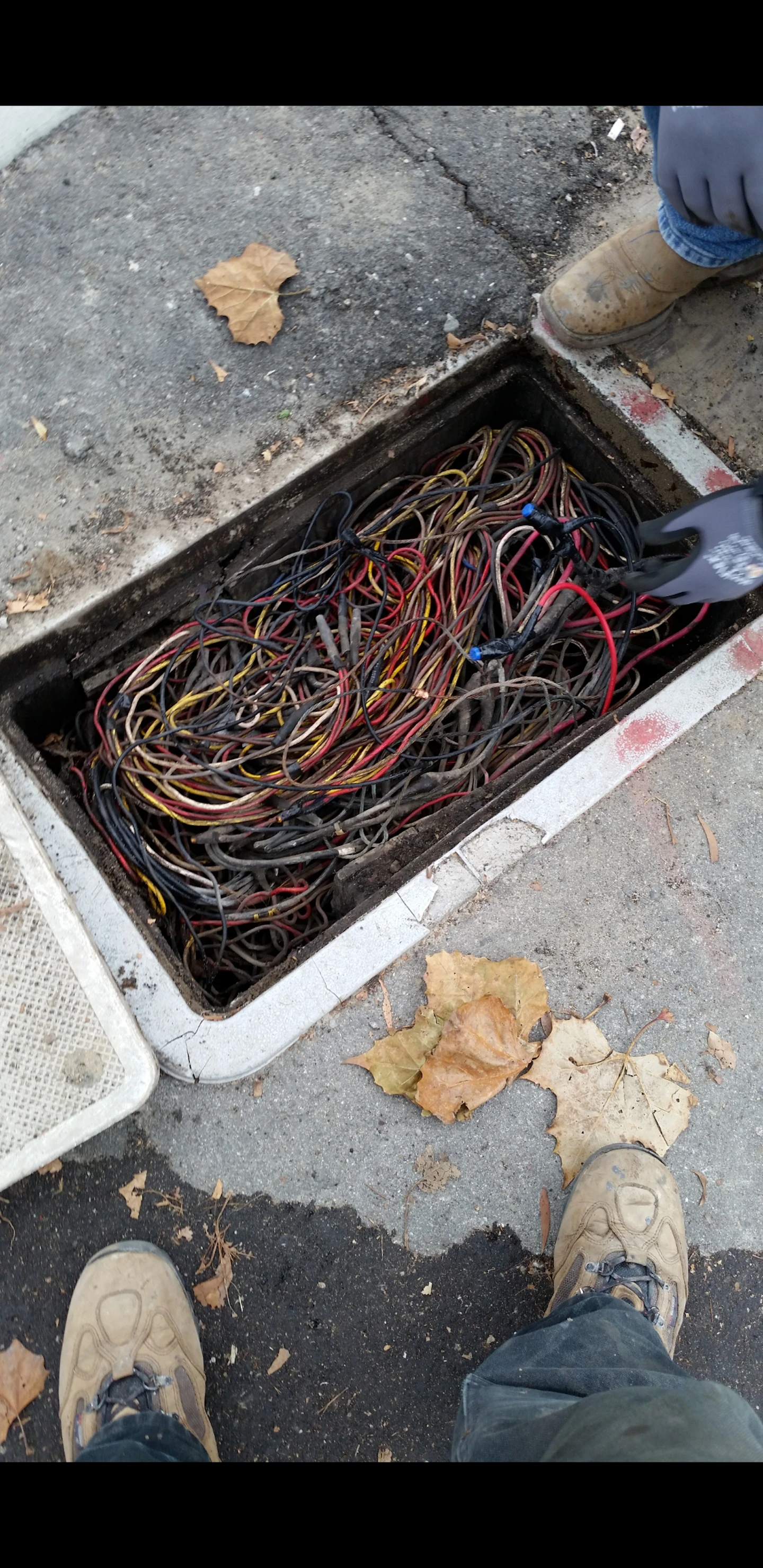 When IT Steps Out Cabling Photos Cabling Installation Maintenance