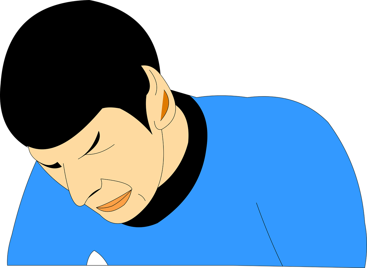 Spock 2493028 1280 5ebdbc293a617