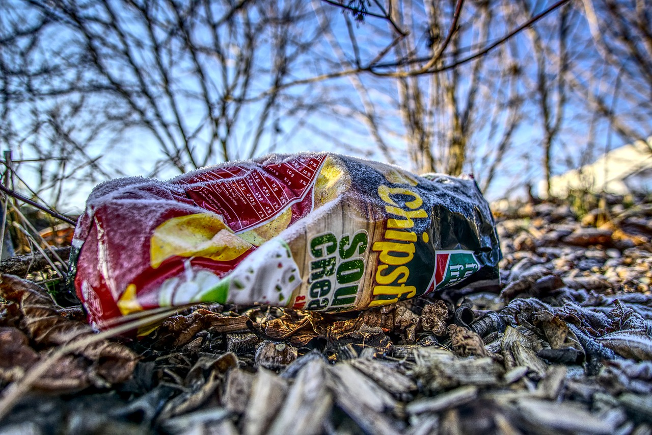 Chips 3942875 1280 5ef5fbec23b57