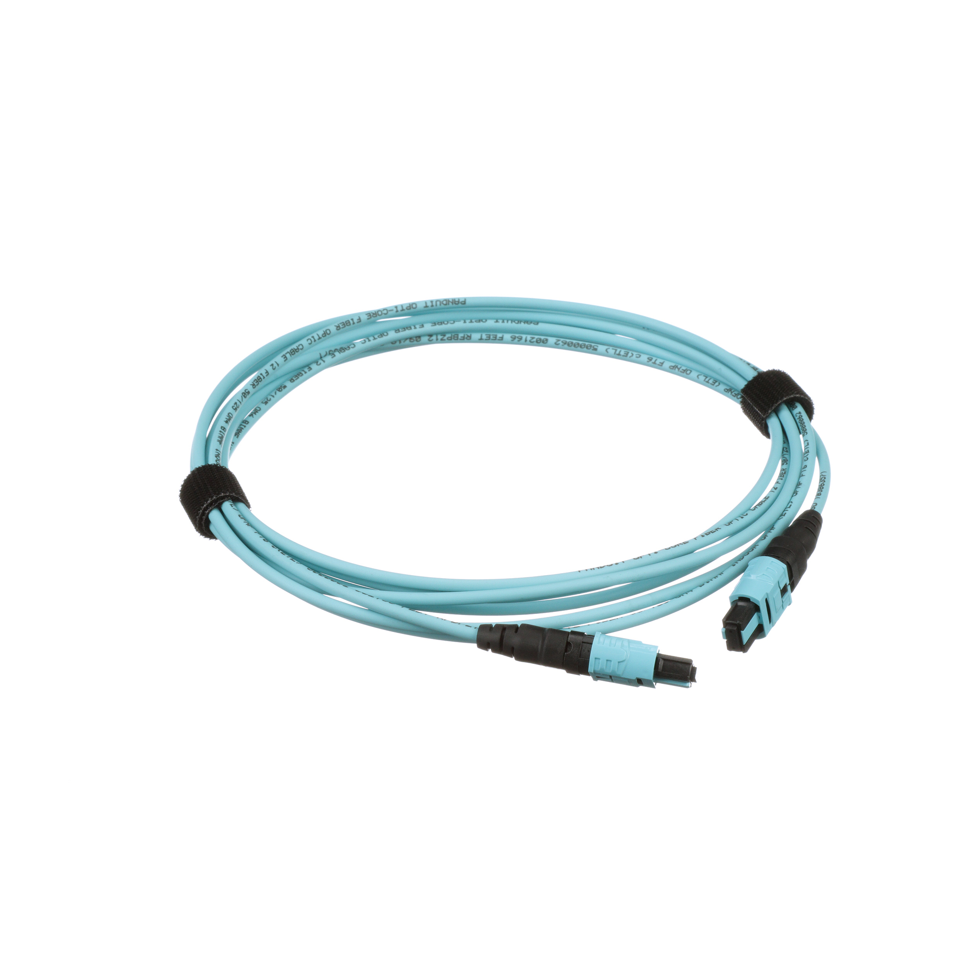 2010 Cim Product Focus Photo 1 5f5f9d7855d84