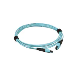 2010 Cim Product Focus Photo 1 5f5f9d7855d84 2010 Cim Product Focus Photo 1 5f5f9d7855d84