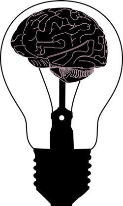 Brain Gdj 5fbc1a4c10a62 Brain Gdj 5fbc1a4c10a62