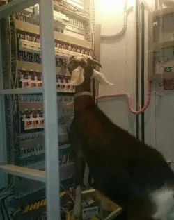 Velcro6 Velcro6