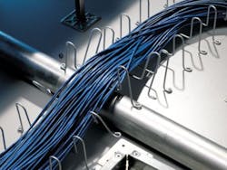 Snake Tray Snake Tray