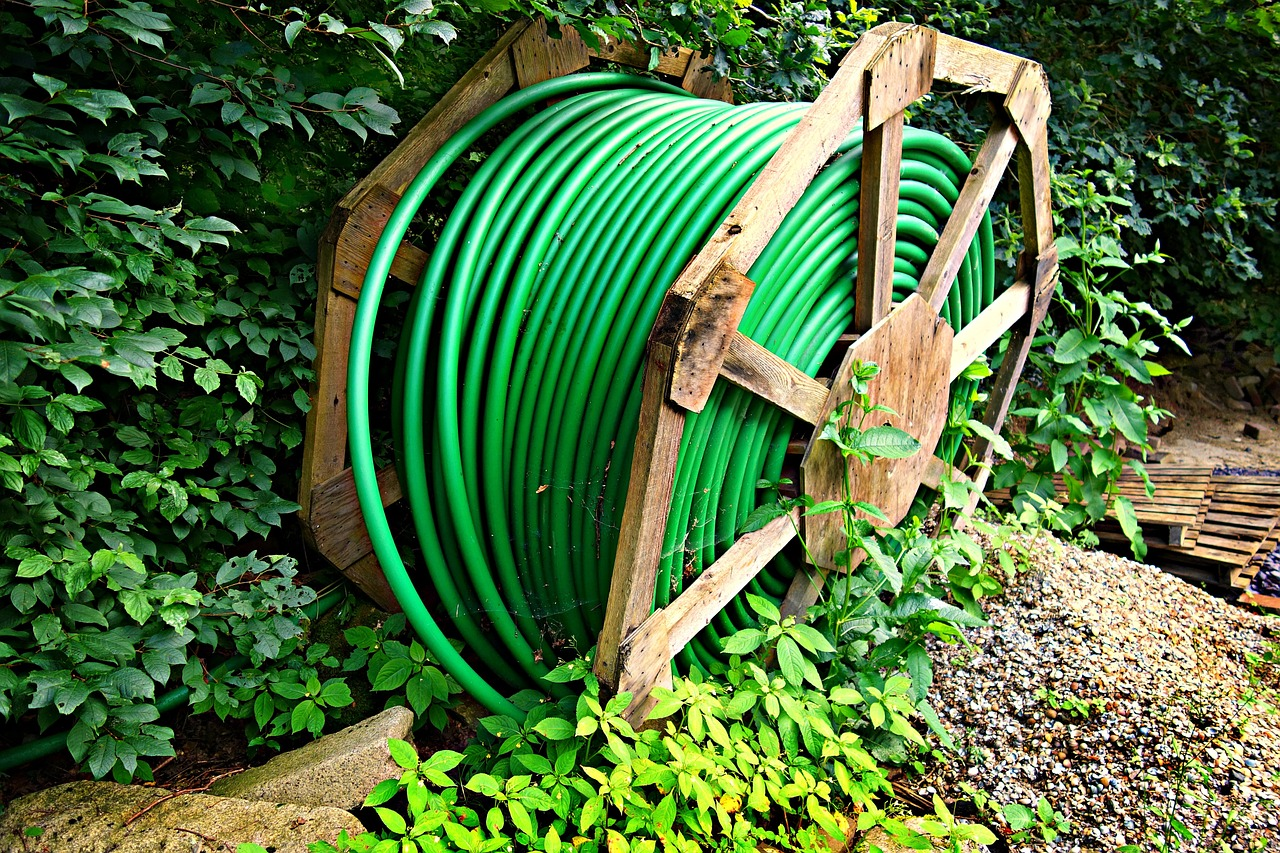 Reel Mabel Amber 61003ec353d57