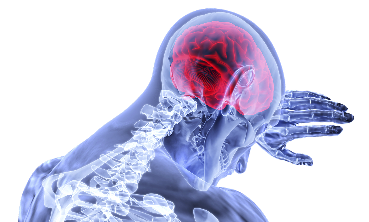 Brain Vs Rao 611fc95be749a