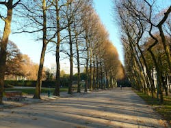 Fall in Brussels, Belgium. Fall in Brussels, Belgium.