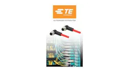 Te Dcode