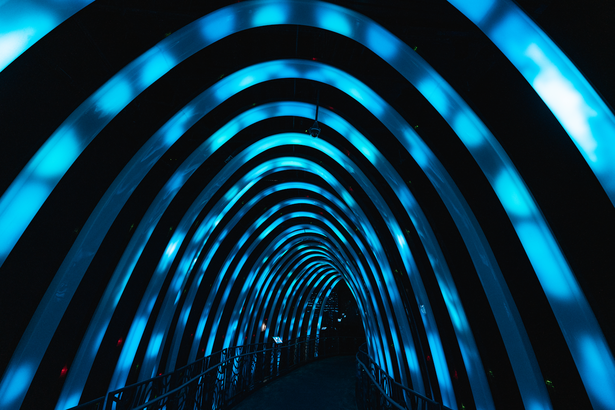 An illuminated tunnel, formed from arches representing a whale&rsquo;s ribs and transmitting the dynamic echoing of whale songs, is connected to the optical LAN.