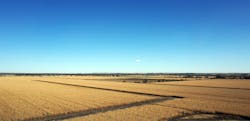 A Nebraska cornfield.