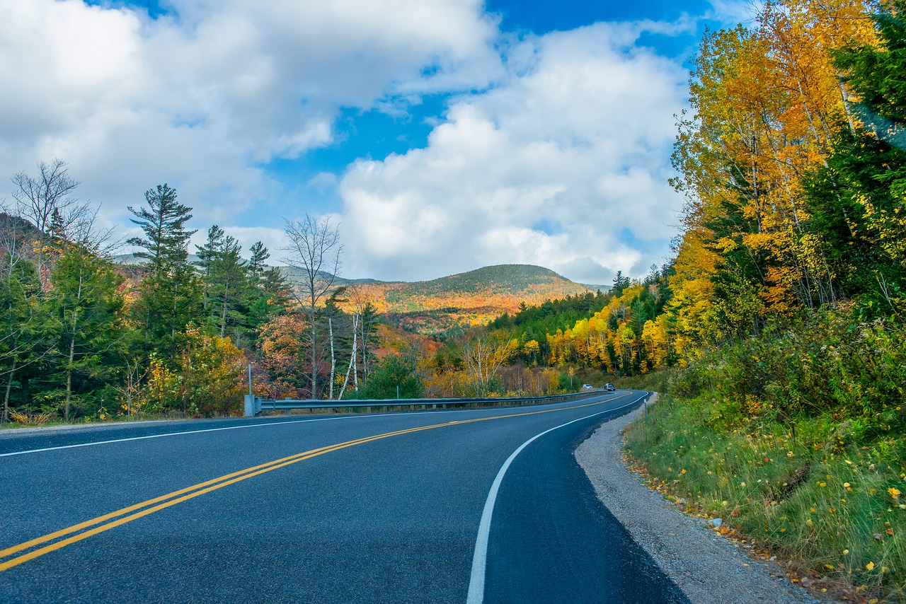 Nhroad Mohann 61d4bc84980d1