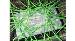 Green NBN fiber-optic cable in an unstructured condition over a pit with a utility hole cover displaying the NBN word mark in Melbourne, Australia.