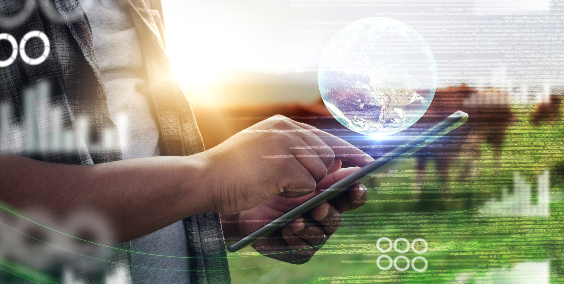 Dreamstime M 264482722 647e129d8592a