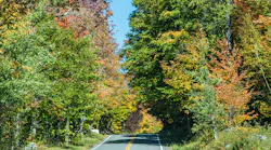 Rural Vermont roadway.