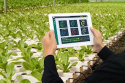 Indoor agriculture is among the applications using sensor networks, which may benefit from Single Pair Ethernet connectivity and power delivery. Indoor agriculture is among the applications using sensor networks, which may benefit from Single Pair Ethernet connectivity and power delivery.