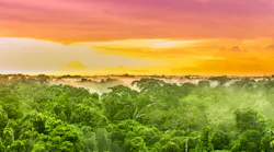 Amazon rainforest