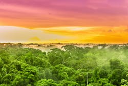 6657f72714d0c77dcbf06dfa Dreamstime L 109339892 6657f72714d0c77dcbf06dfa Dreamstime L 109339892