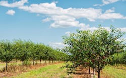 666c8b41f55bd04cbd888d97 Dreamstime M 10354971 666c8b41f55bd04cbd888d97 Dreamstime M 10354971