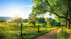 Rural environment