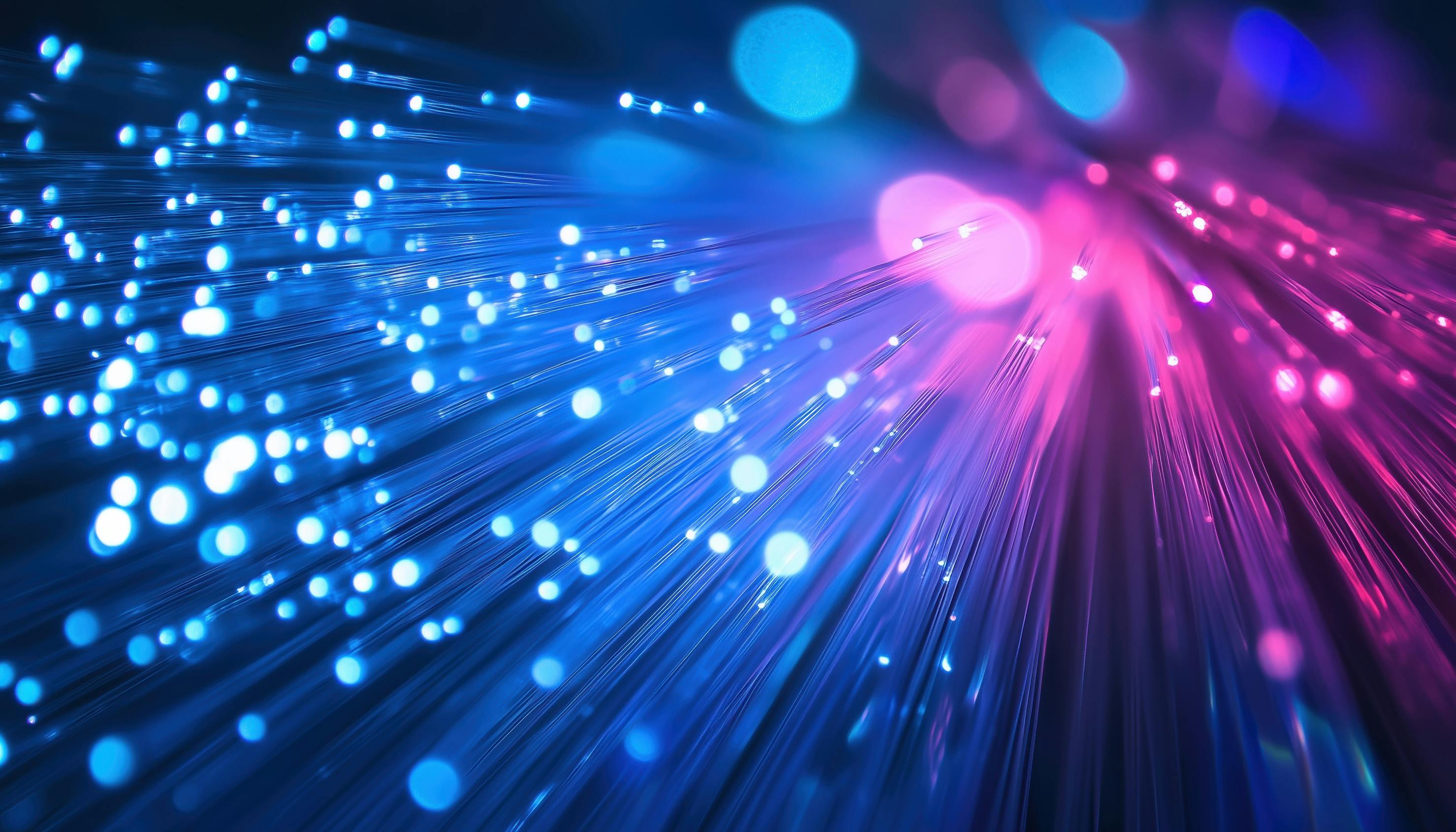 681531da578da1a6ebb2b0b0 Dreamstime L 370166793