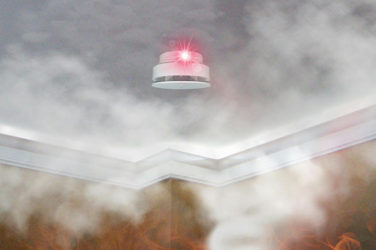 6843364345bd20fa73ab6a39 Dreamstime L 137339524