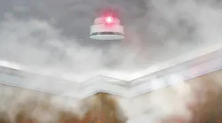 smoke alarm and smoke