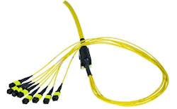 MPO fiber trunk assemblies offer scalable plug-and-play connectivity. MPO fiber trunk assemblies offer scalable plug-and-play connectivity.