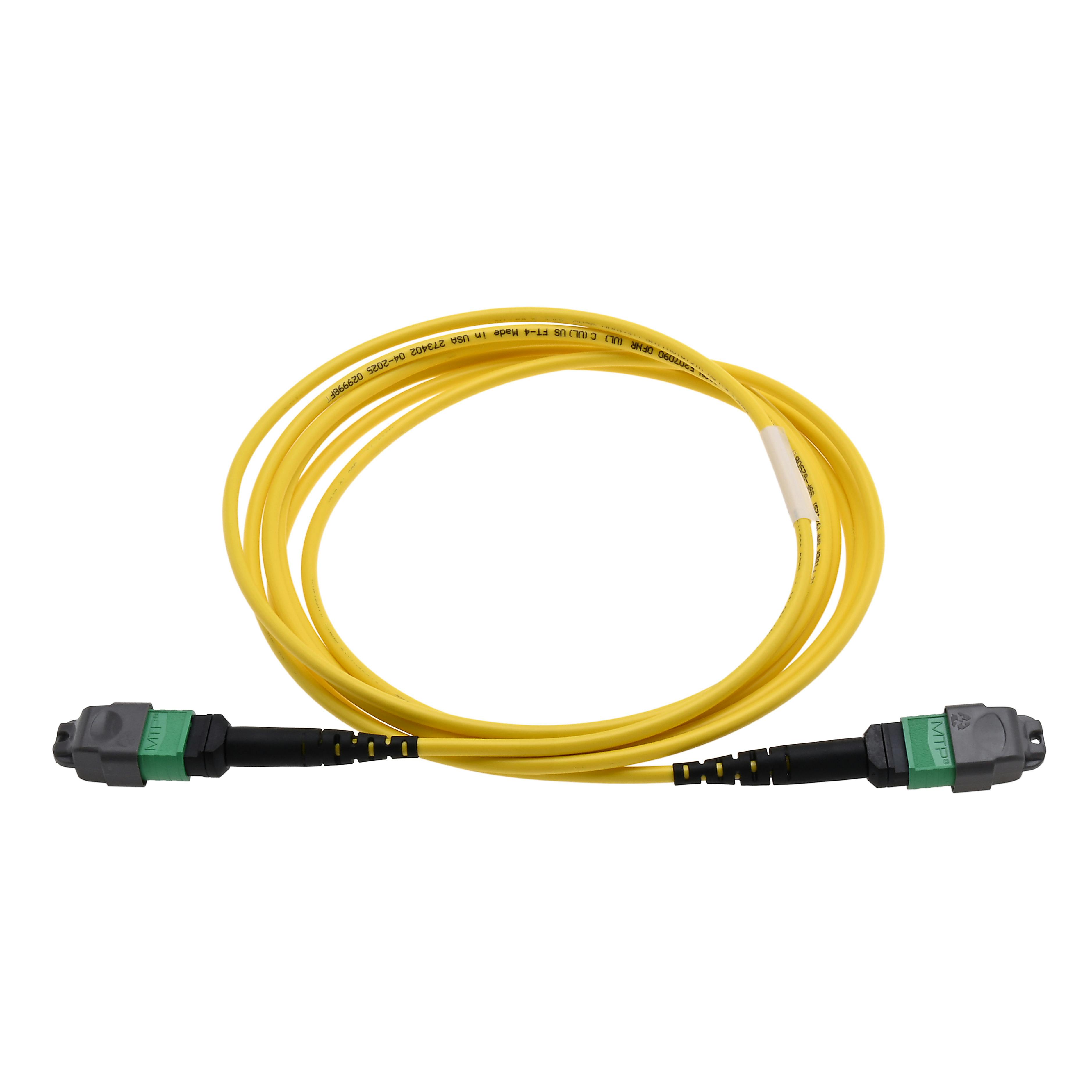 Cleerline MTP Patch Cords